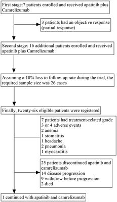 Apatinib combined with camrelizumab in the treatment of recurrent/metastatic nasopharyngeal carcinoma: a prospective multicenter phase II study